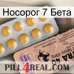 Носорог 7 Бета 41